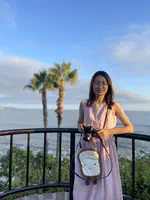 BenchmarkST: Cross-Platform, Multi-Species Spatial Transcriptomics Gene Imputation Benchmarking